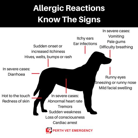 allergic reaction in dogs