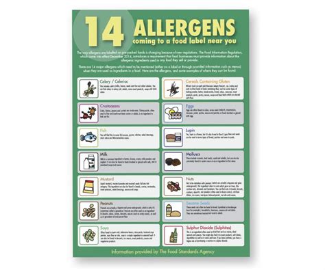 allergies lightheaded manual guide pdf Doc