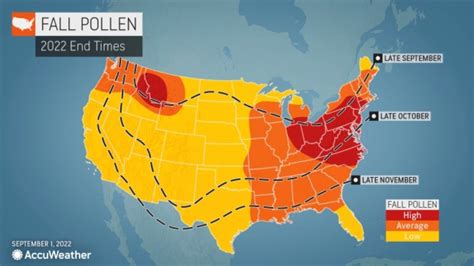 Allergy Forecast Near Me