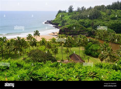 allerton botanical gardens in kauai