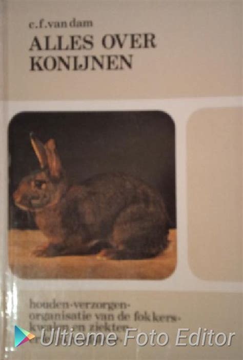 alles over konijnen gellustreerd handboek voor sport en nutfokkers PDF