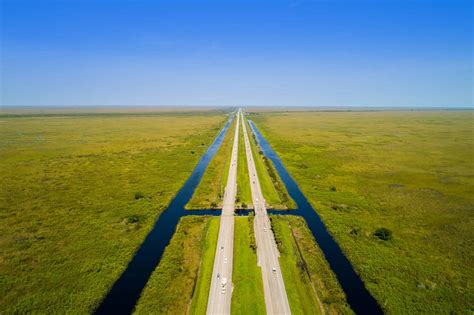 alligator alley in florida