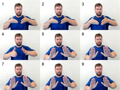 allow in asl