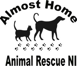 almost home animal rescue