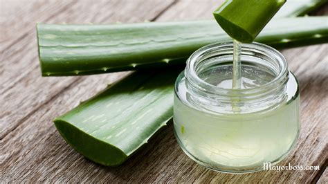 aloe vera allergy