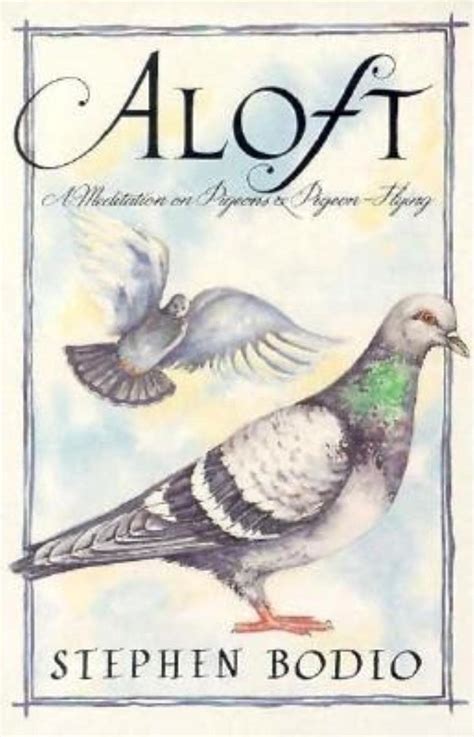 aloft a meditation on pigeons and pigeon flying PDF