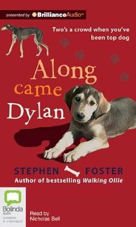 along came dylan stephen foster Reader