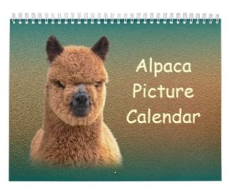 alpaca calendar 2016 maine color alpaca photos Kindle Editon