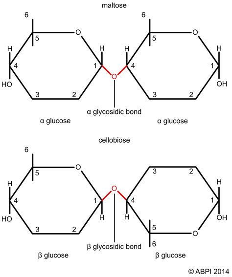 alpha bonds