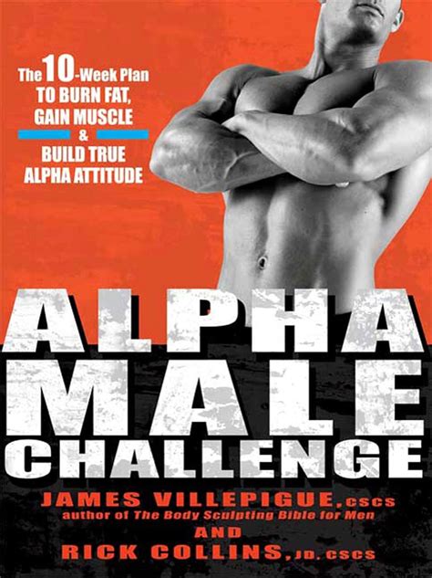 alpha male challenge alpha male challenge PDF