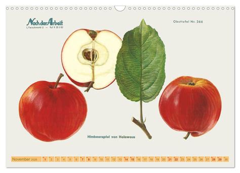 alte apfelsorten allergiker wandkalender 2016 Reader