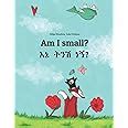 am i small? ene tenese nane? childrens picture book english amharic bilingual edition Reader