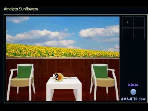 Amajeto Sunflowers Walkthrough