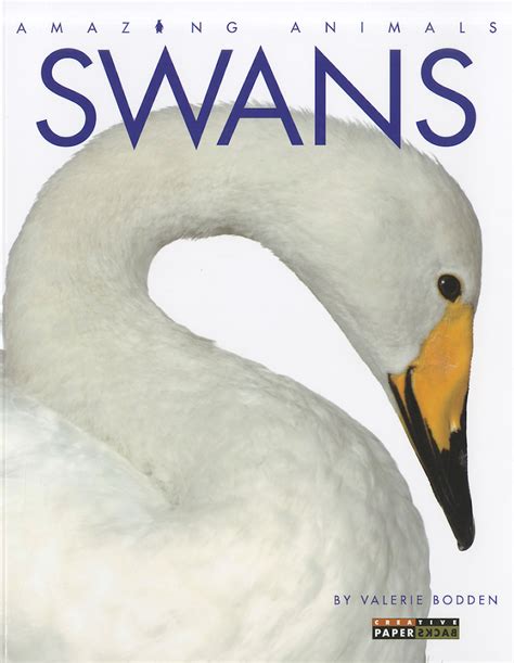 amazing animals swans amazing animals creative education paperback PDF