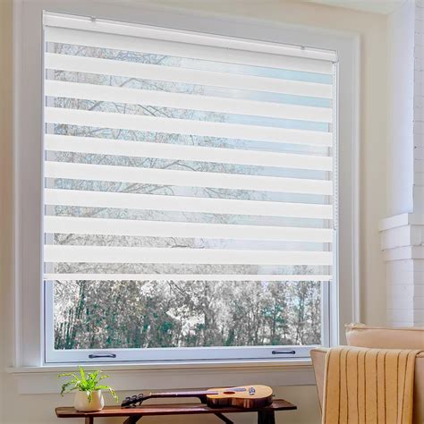 Amazon Zebra Blinds