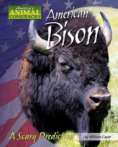 american bison a scary prediction americas animal comebacks Reader