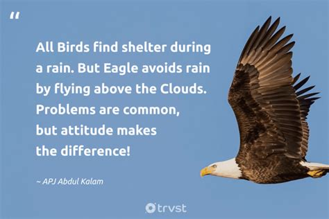 american eagle quotes Epub