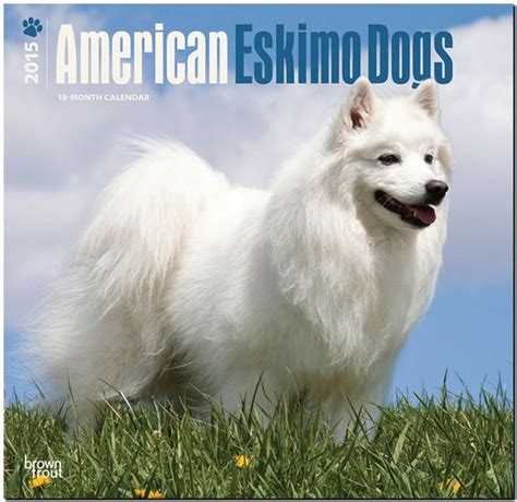 american eskimo dogs 2015 square 12x12 multilingual edition PDF