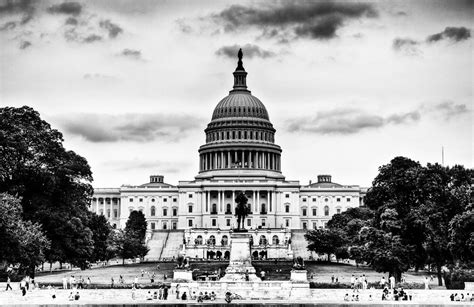 american government in black and white Doc