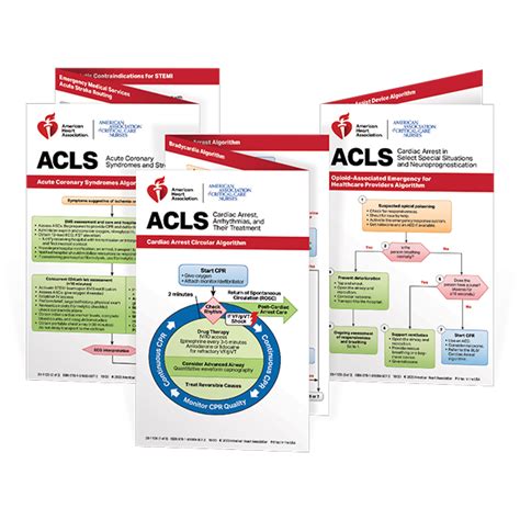 american heart association acls study guide 2012 Epub