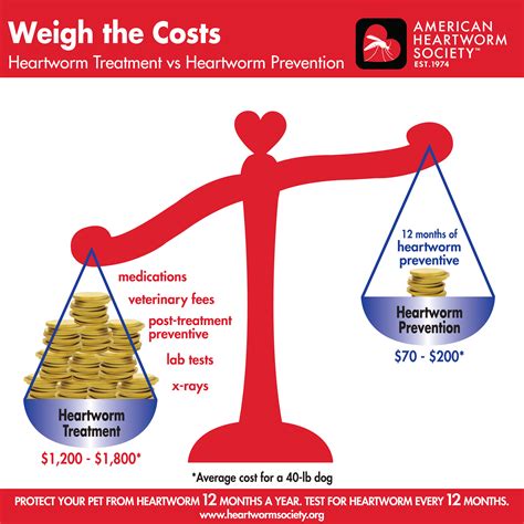 american heartworm society