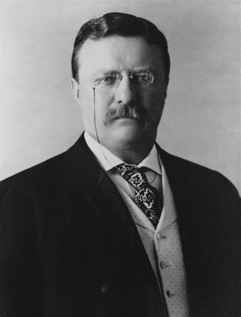 american president teddy roosevelt clinton Reader