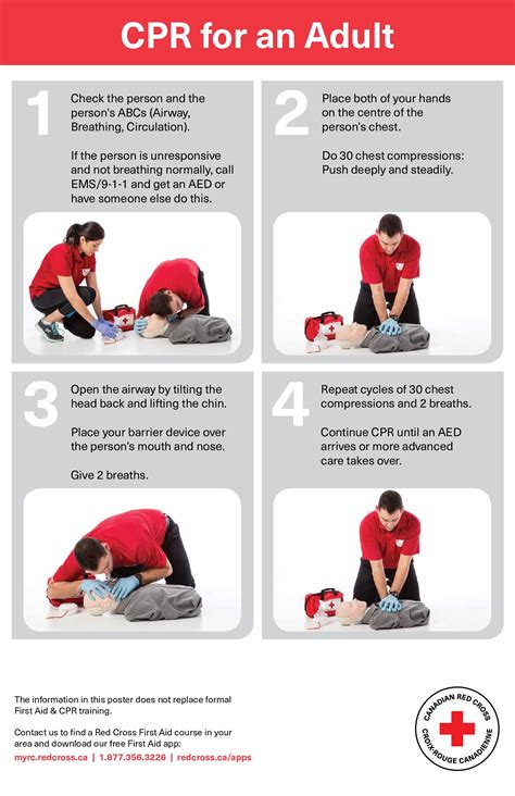 american red cross cpr manual Epub