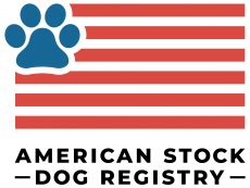 american stock dog registry