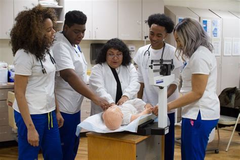 amg school of licensed practical nursing reviews