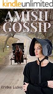 amish gossip hannah and jakobs book amish friendships 1 Reader