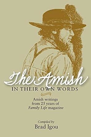 amish in their own words Epub