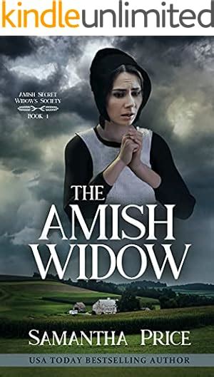 amish mystery that which was lost romantic suspense amish secret widows society book 10 Doc