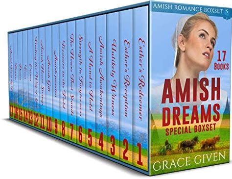 amish romance amish dreams box set books 1 3 Reader