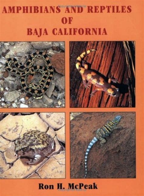 amphibians and reptiles of baja california Kindle Editon