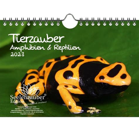 amphibien reptilien wandkalender 2016 mitteleurop ische Reader