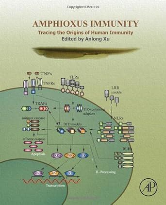 amphioxus immunity tracing origins human Kindle Editon