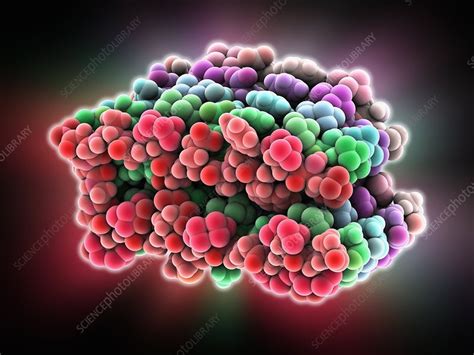 amyloid-beta protein