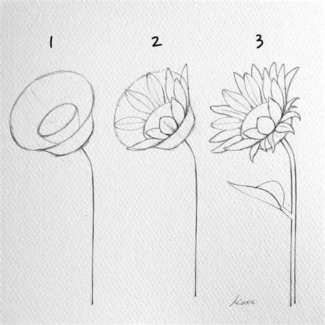 an Introduction to Drawing Flowers