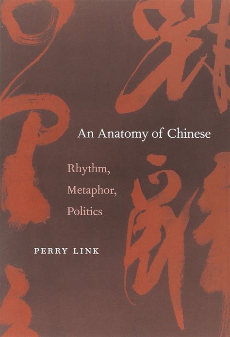 an anatomy of chinese rhythm metaphor politics Reader