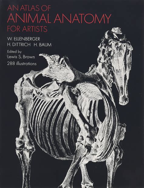 an atlas of animal anatomy for artists dover anatomy for artists Doc