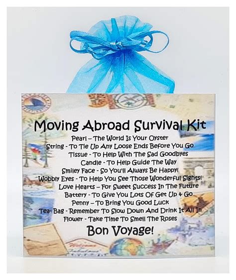 an awesome new life how to be happy and successful abroad your survival and happiness kit for successful relocation Kindle Editon