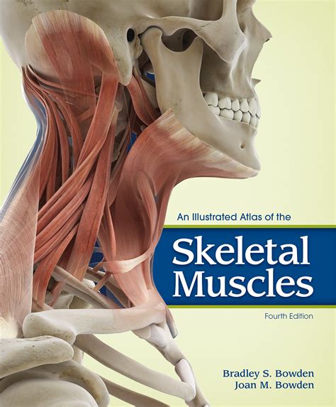 an illustrated atlas of the skeletal muscles Ebook Kindle Editon