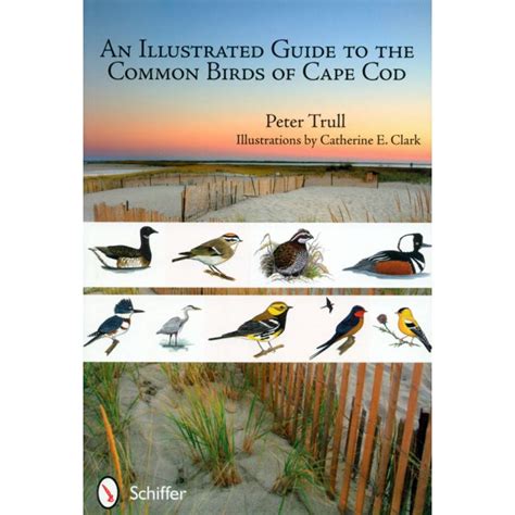 an illustrated guide to the common birds of cape cod Epub