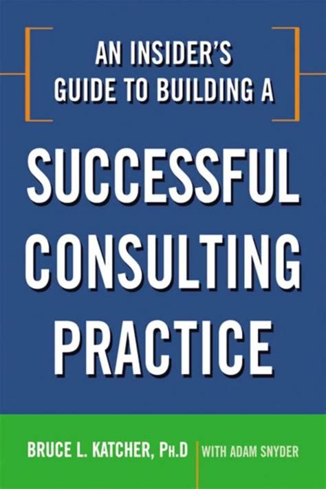 an insiders guide to building a successful consulting practice PDF