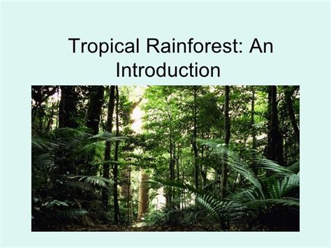 an introduction to tropical rain forests Kindle Editon