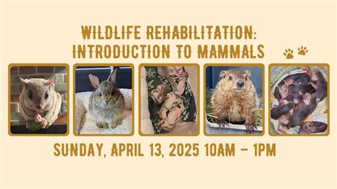 an introduction to wildlife rehabilitation Kindle Editon