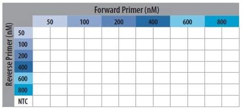 an optimization primer an optimization primer Epub