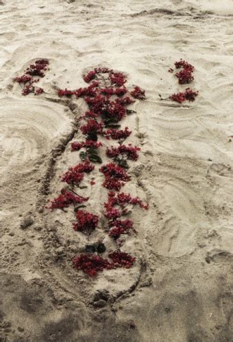 ana mendieta earth body Reader