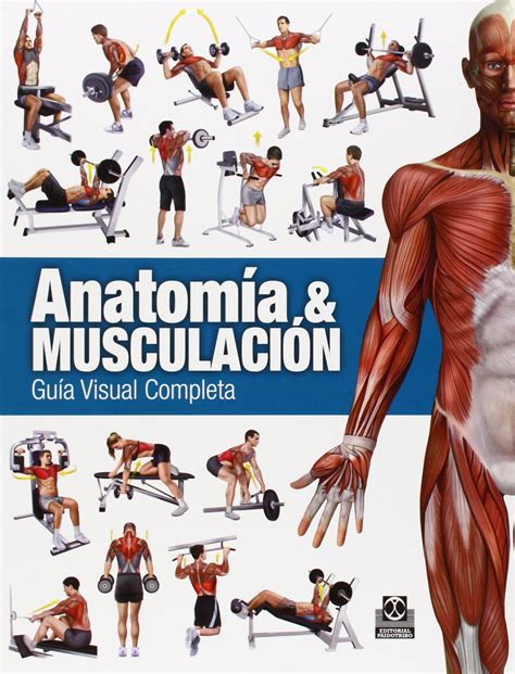 anatomia de la musculacion en forma tutor PDF