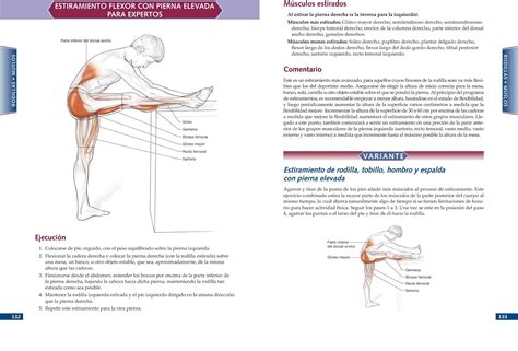 anatomia de los estiramientos nueva edicion ampliada y actualizada en forma tutor Doc